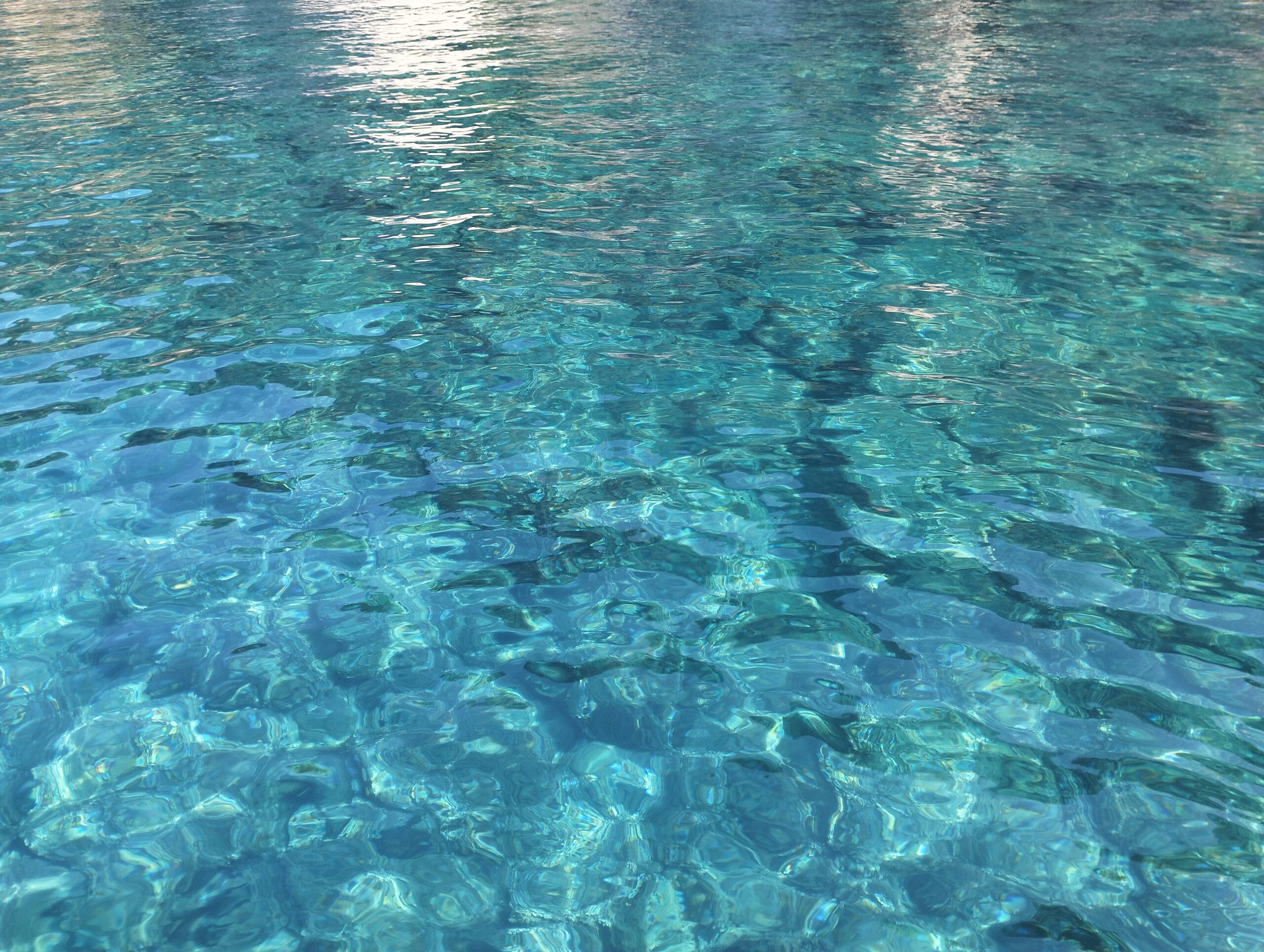 Swim stop on a boat tour
