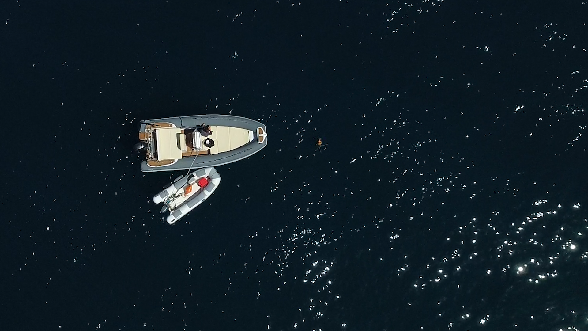 Boat excursion Liguria